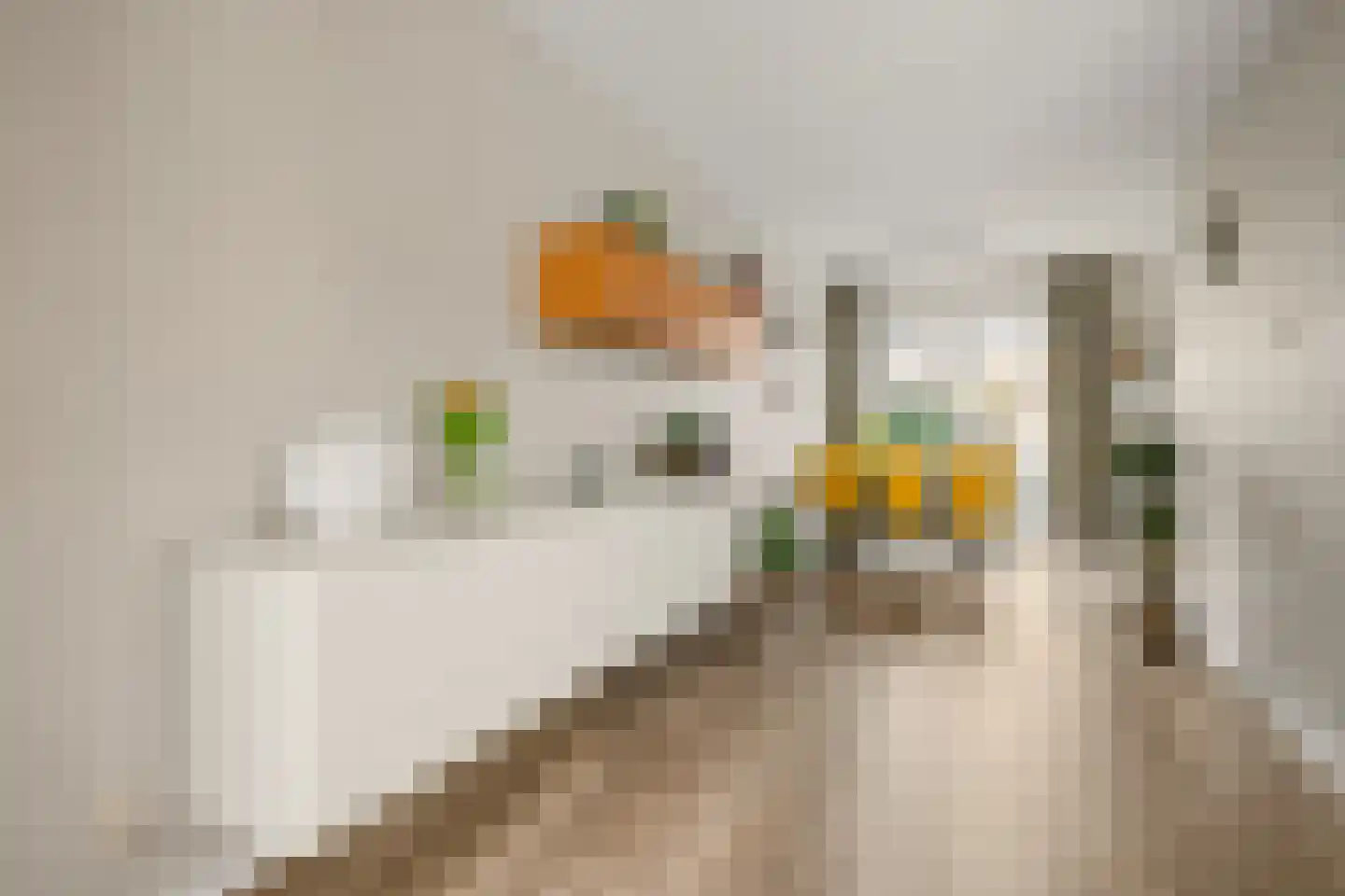 Hyacintentuin 1 Houten thumbnail 7