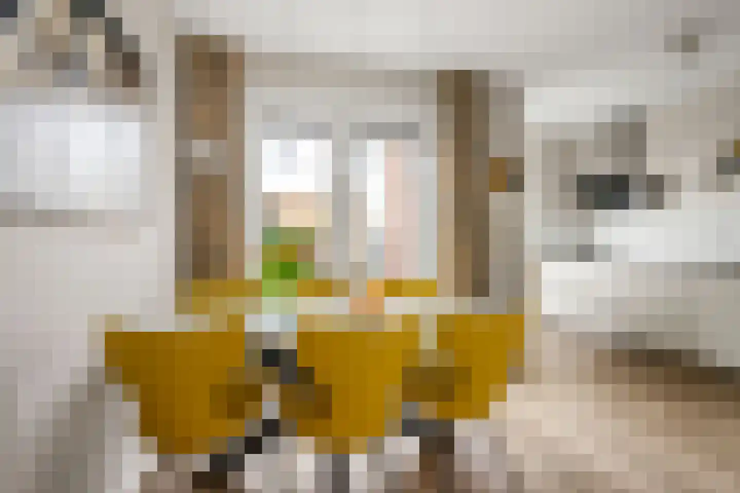 Hyacintentuin 1 Houten thumbnail 8