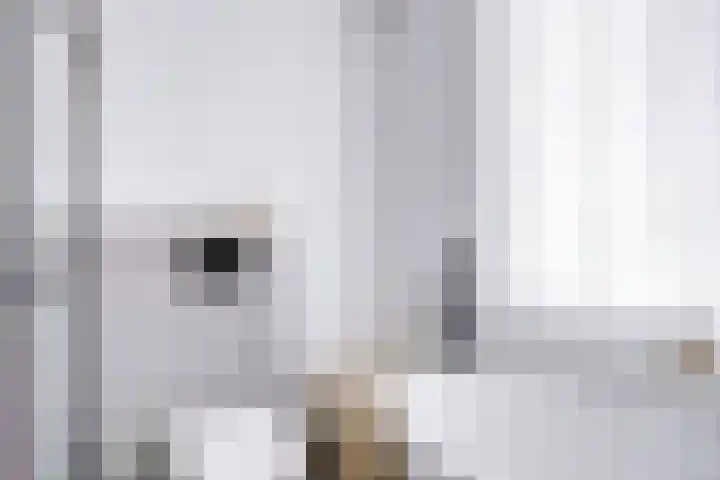 Hyacintentuin 10 Houten thumbnail 40