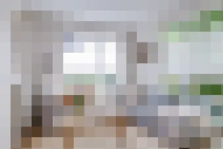 Hyacintentuin 10 Houten thumbnail 6