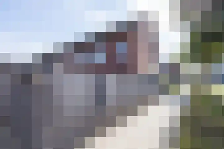 Hyacintentuin 10 Houten thumbnail 63
