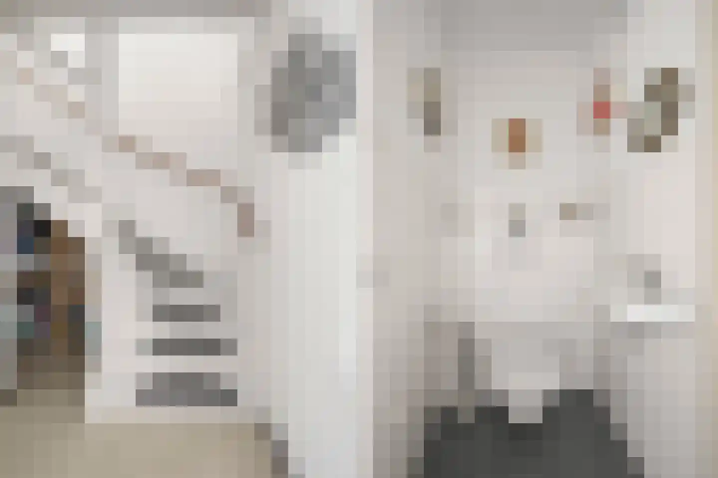 Hyacintentuin 5 Houten thumbnail 10