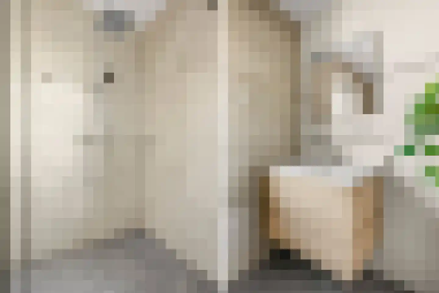 Hyacintentuin 5 Houten thumbnail 15