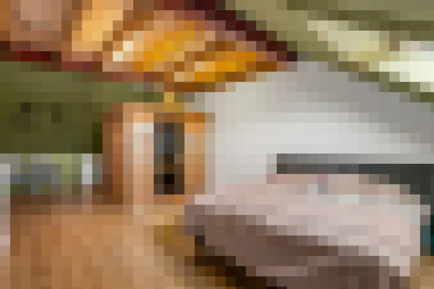 Hyacintentuin 5 Houten thumbnail 19