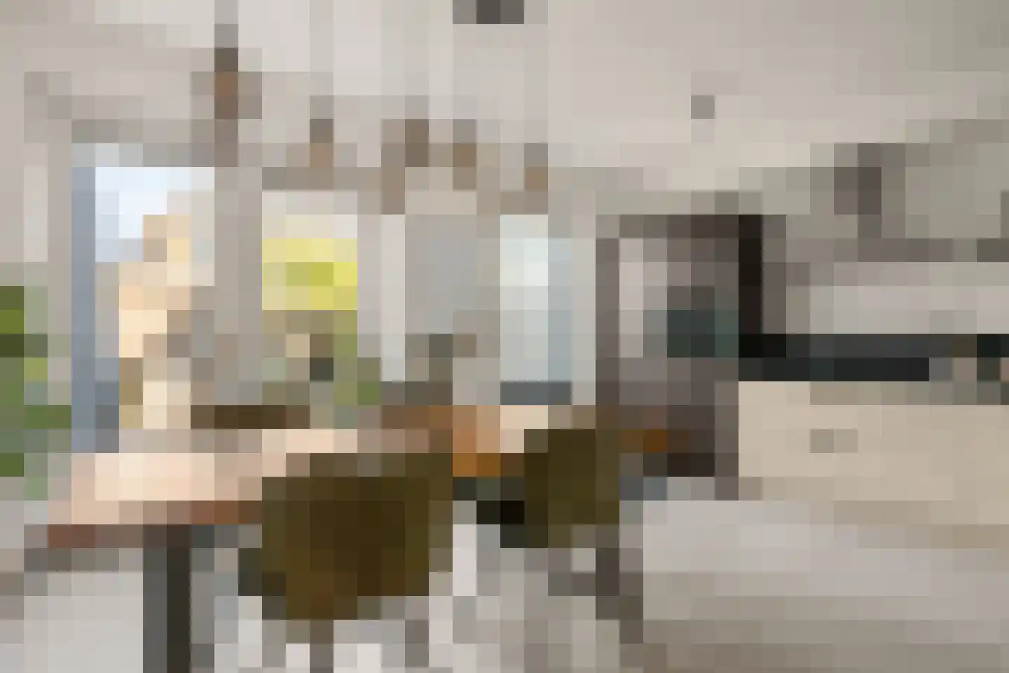 Hyacintentuin 5 Houten thumbnail 7