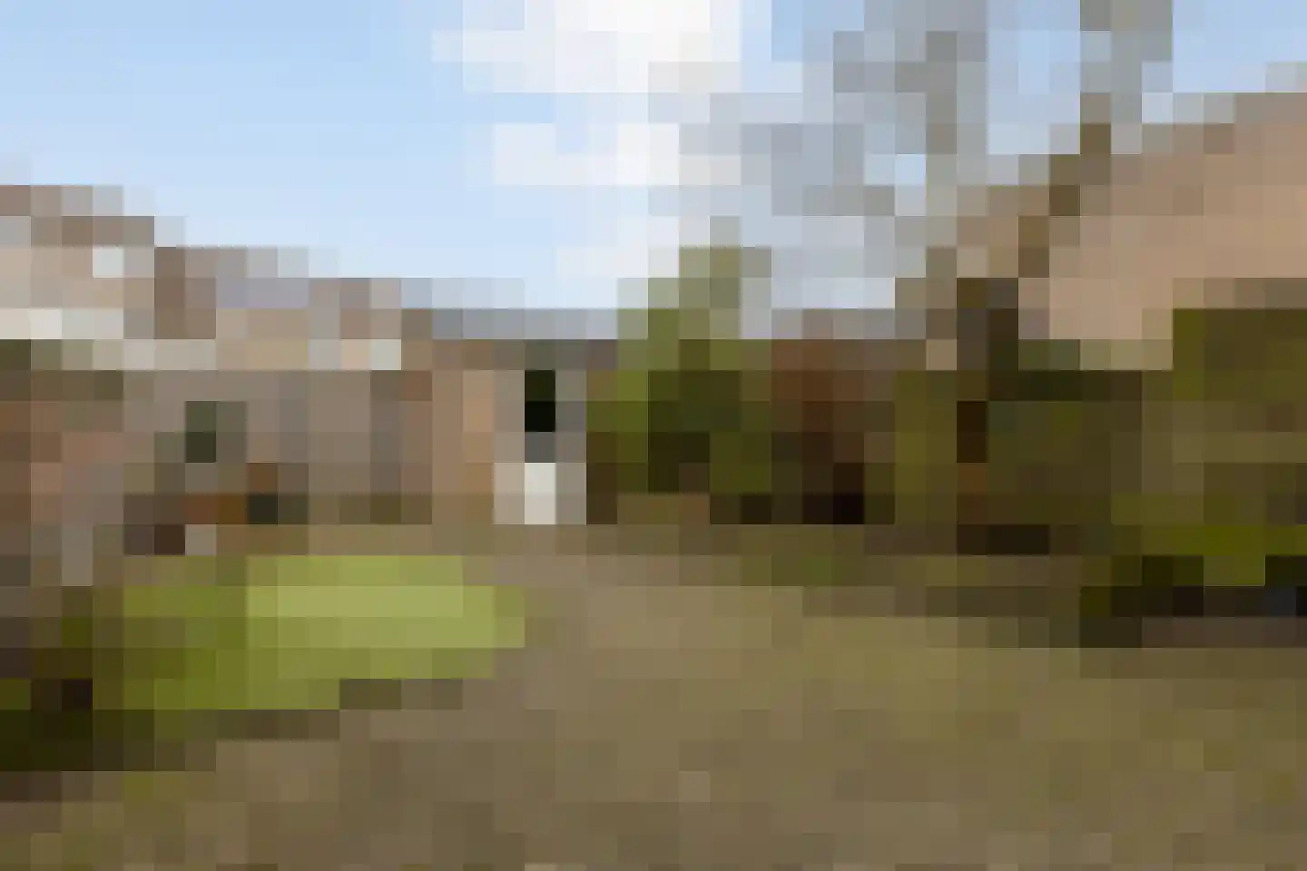 Hyacintenveld 14 Bergen op Zoom thumbnail 33
