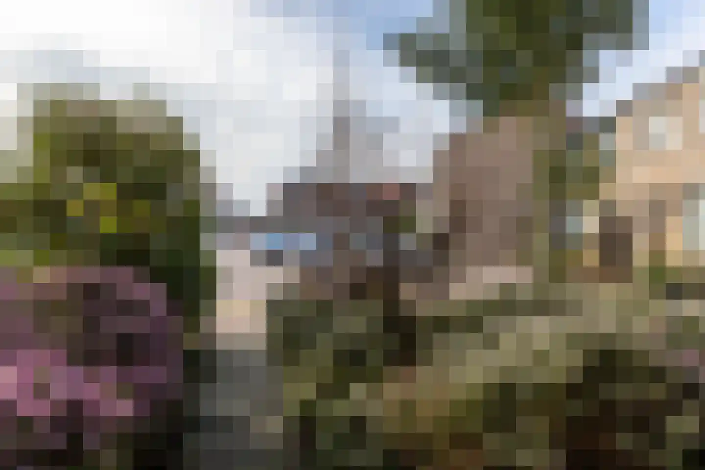 Hyacintenveld 14 Bergen op Zoom thumbnail 8