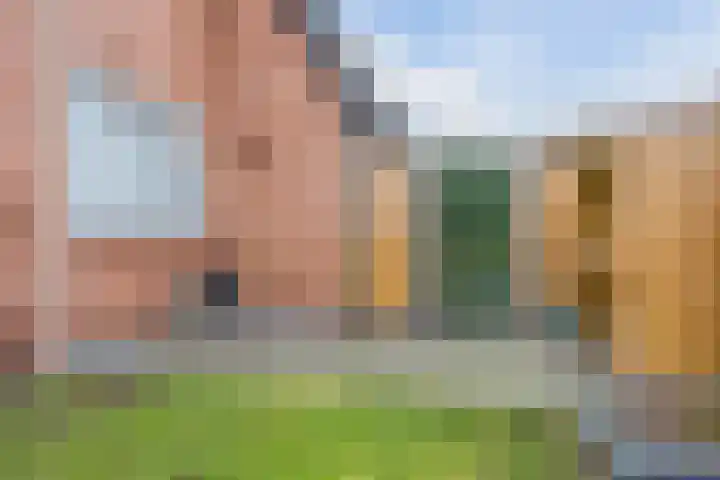 Hyacintenveld 35 Bergen op Zoom thumbnail 47