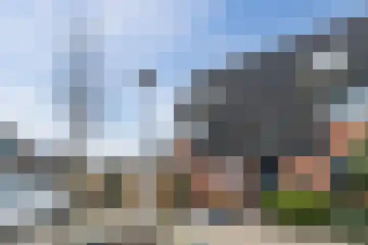 Hyacintenveld 35 Bergen op Zoom thumbnail 8