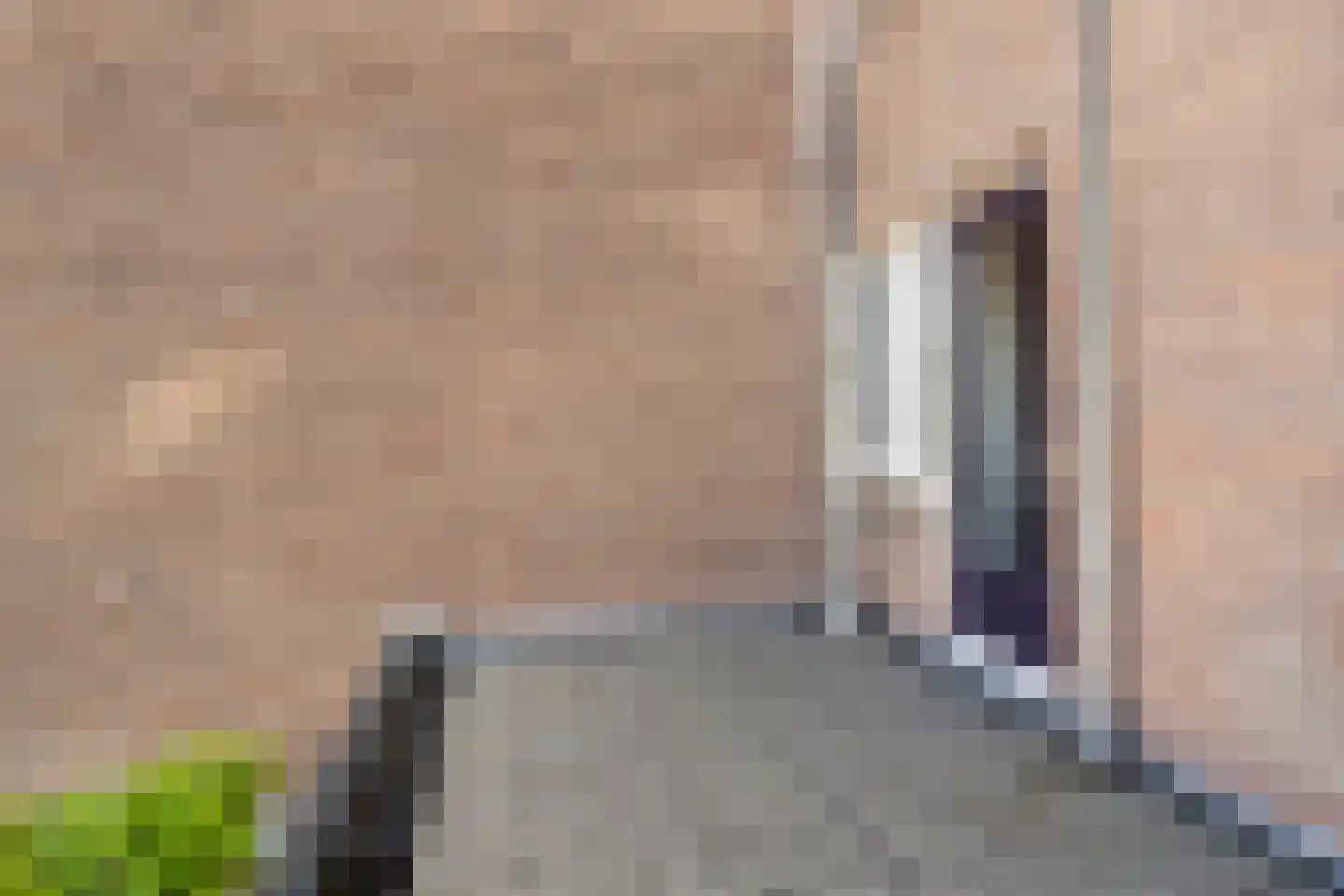Hyacintenveld 47 Bergen op Zoom thumbnail 28