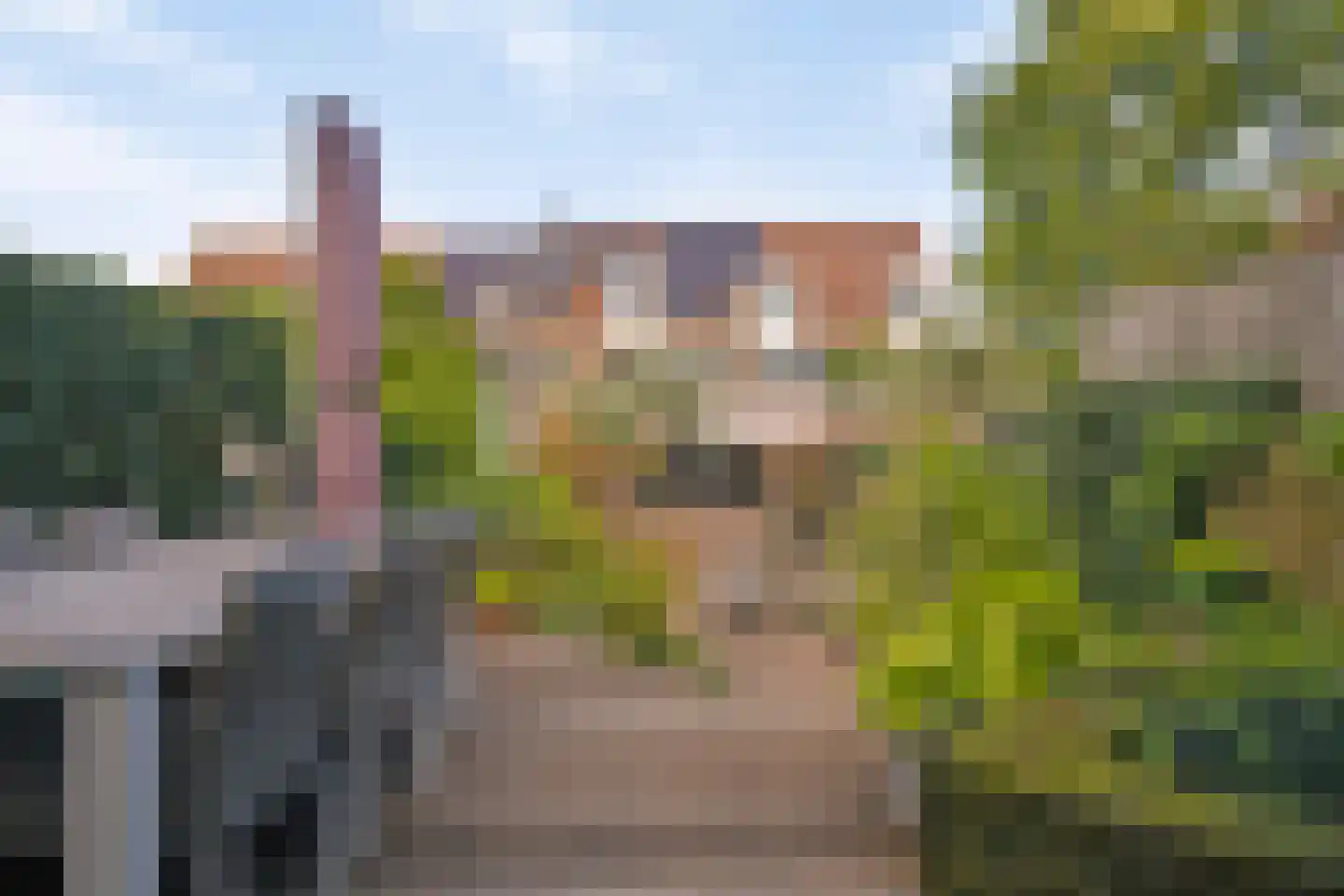 Hyacintenveld 47 Bergen op Zoom thumbnail 45