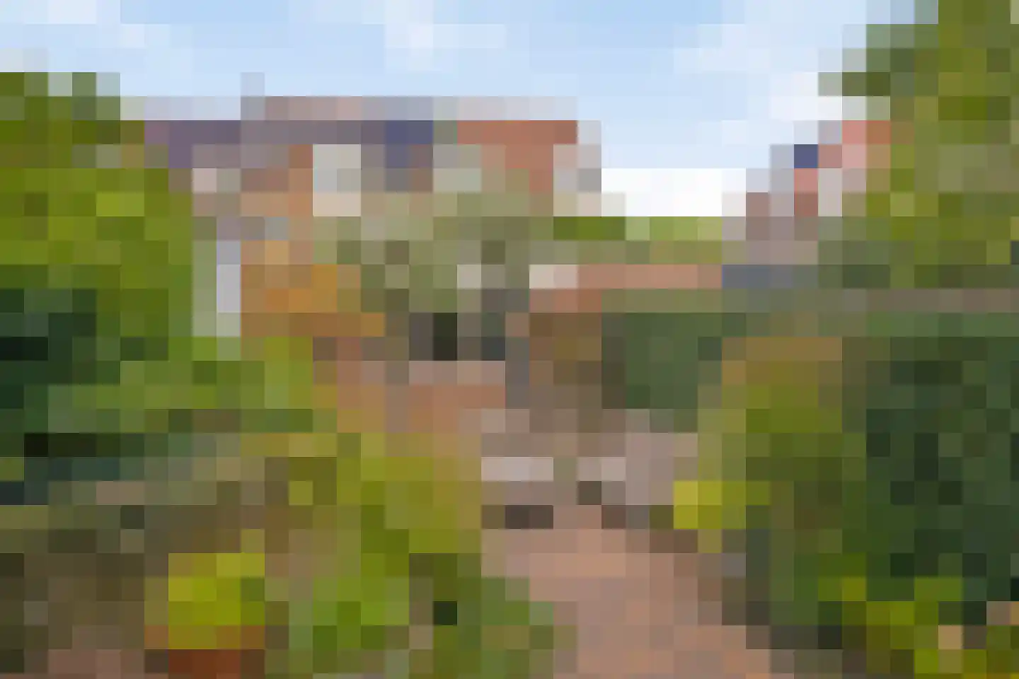Hyacintenveld 47 Bergen op Zoom thumbnail 47