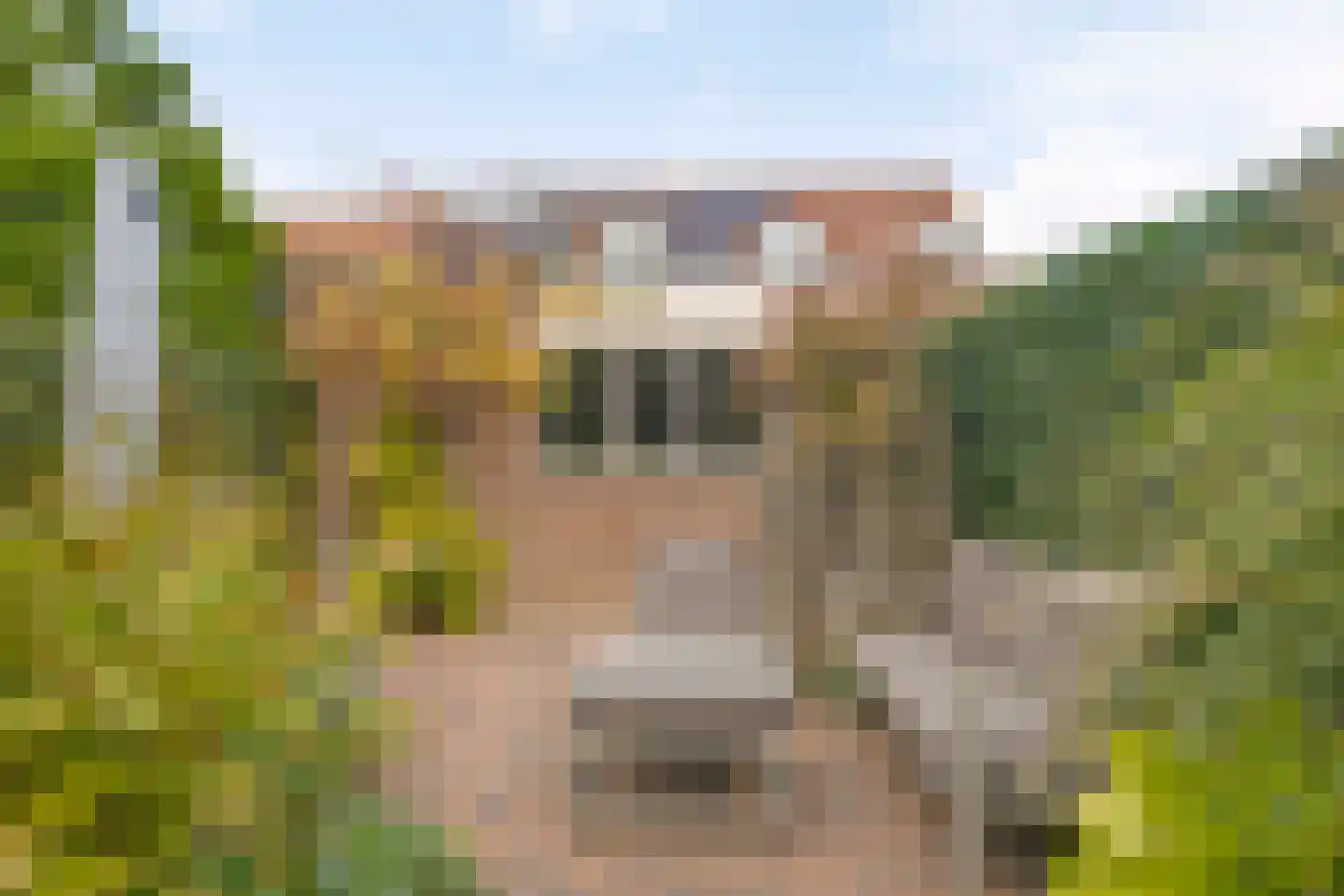 Hyacintenveld 47 Bergen op Zoom thumbnail 49