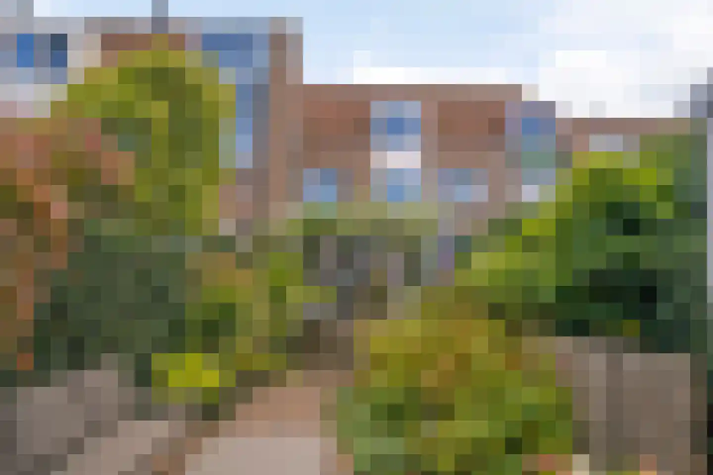 Hyacintenveld 47 Bergen op Zoom thumbnail 6