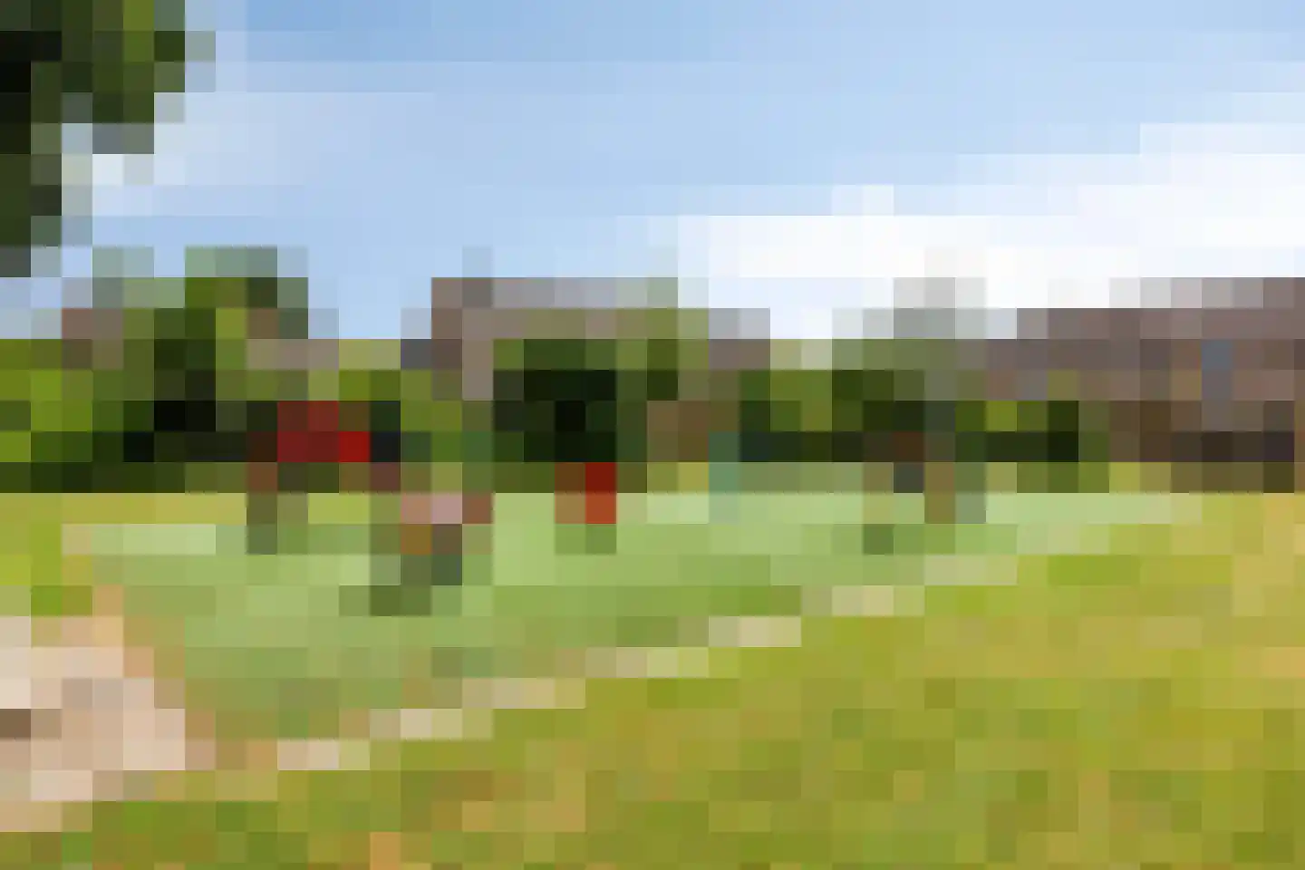 Hyacintenveld 51 Bergen op Zoom thumbnail 30