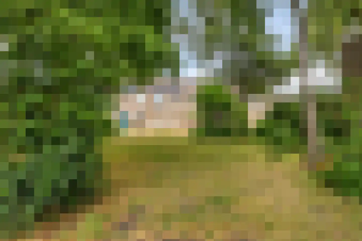 Hyacintenveld 51 Bergen op Zoom thumbnail 31