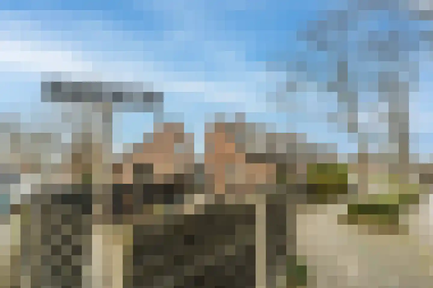 Hyacinterf 1 's-Gravendeel