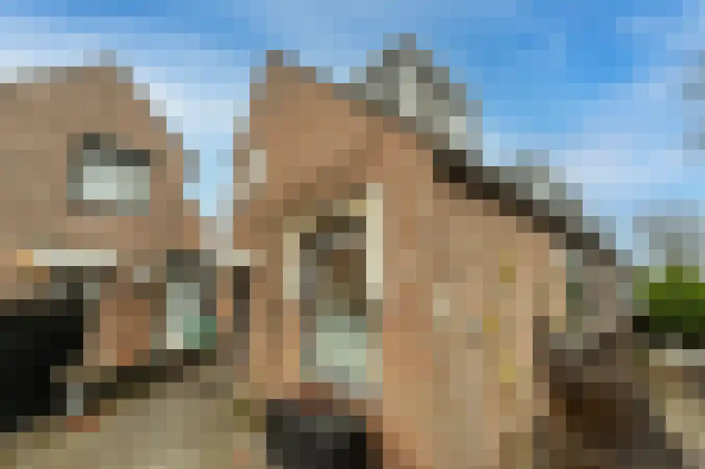 Hyacinterf 1 's-Gravendeel thumbnail 23