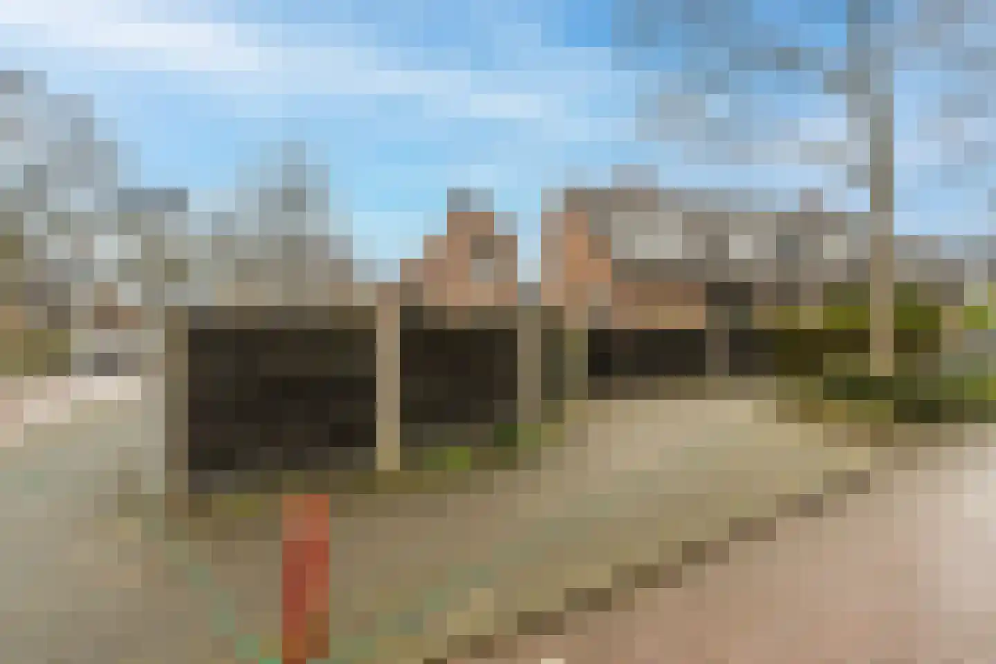 Hyacinterf 1 's-Gravendeel thumbnail 24