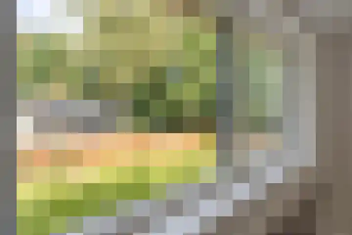Hyacinth 102 Vinkel thumbnail 35