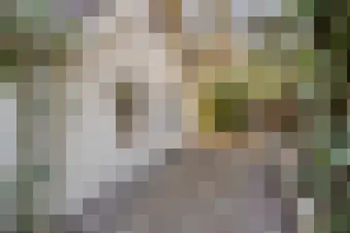 Hyacinth 103 Vinkel thumbnail 11