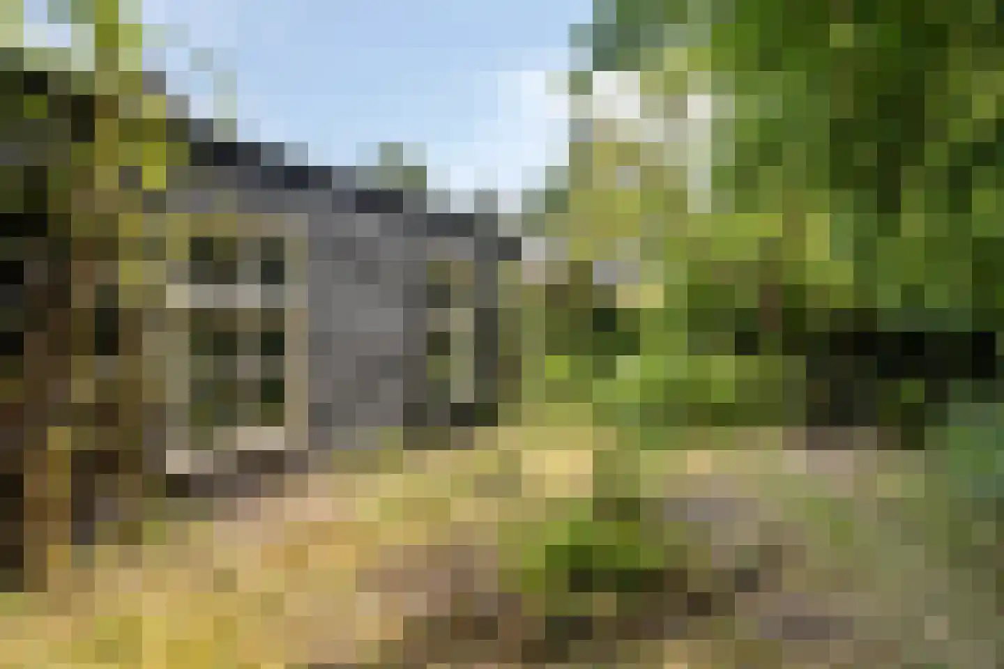 Hyacinth 117 Vinkel thumbnail 21
