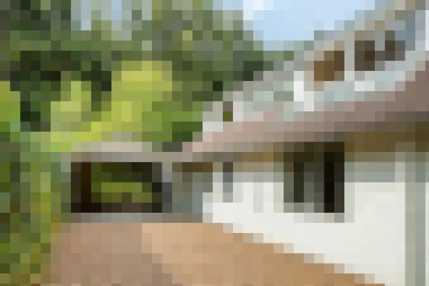 Hyacinth 117 Vinkel thumbnail 32