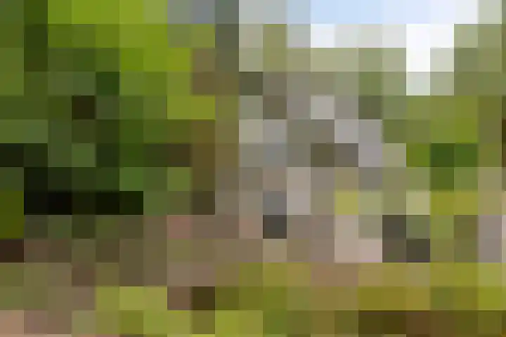 Hyacinth 119 Vinkel thumbnail 10