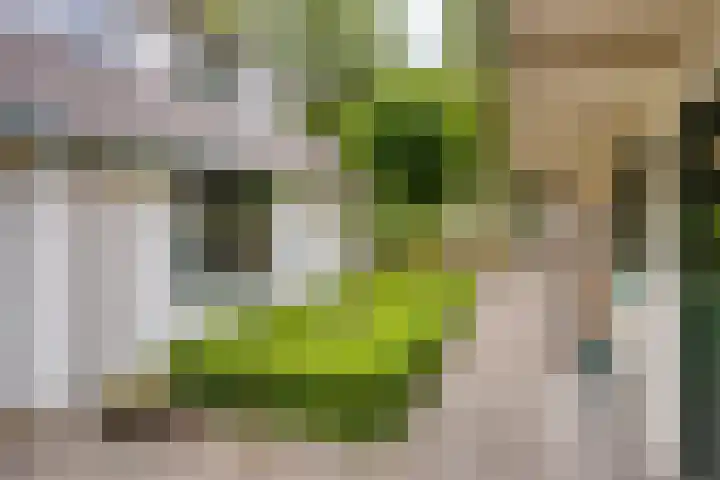 Hyacinth 119 Vinkel thumbnail 9