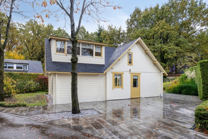 Hyacinth 94 in Vinkel Foto