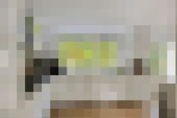 Hyacinth 94 Vinkel thumbnail 8