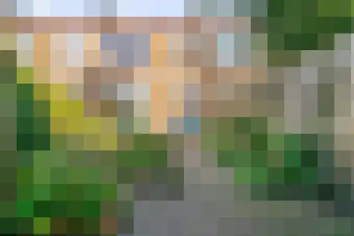 Hyacinthenlaan 8 Limmen thumbnail 27