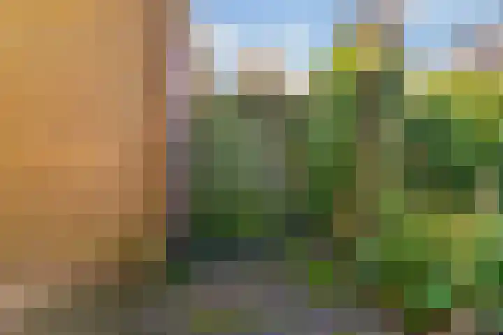 Hyacinthenlaan 8 Limmen thumbnail 33