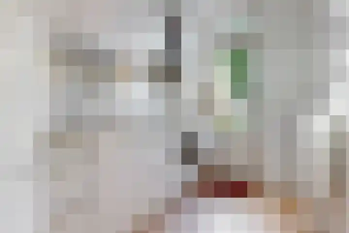 Hyacinthenlaan 8 Limmen thumbnail 5