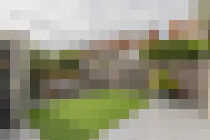 Hyacinthenlaan 92 Bennebroek thumbnail 34