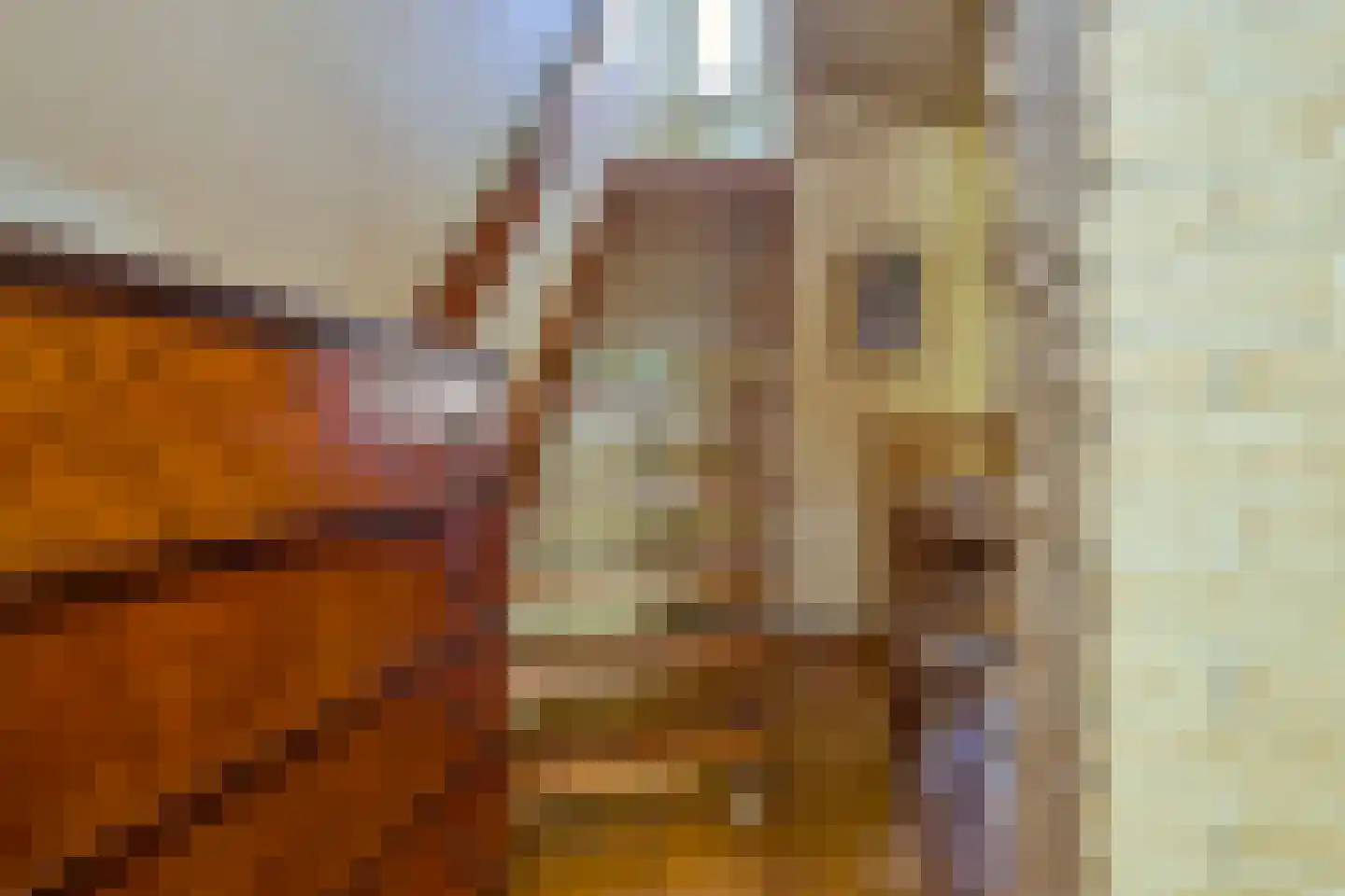 Hyacinthenstraat 40 Santpoort-Noord thumbnail 24