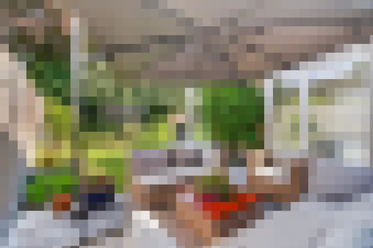 Hyacinthlaan 40 Valkenswaard thumbnail 52