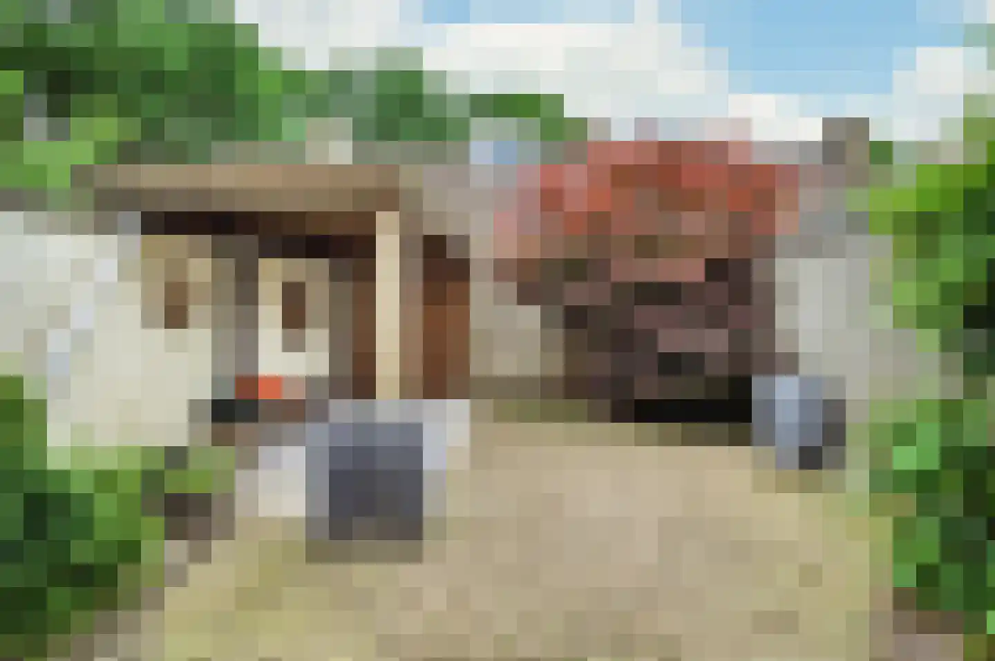 Hyacinthof 3 Schijndel thumbnail 31