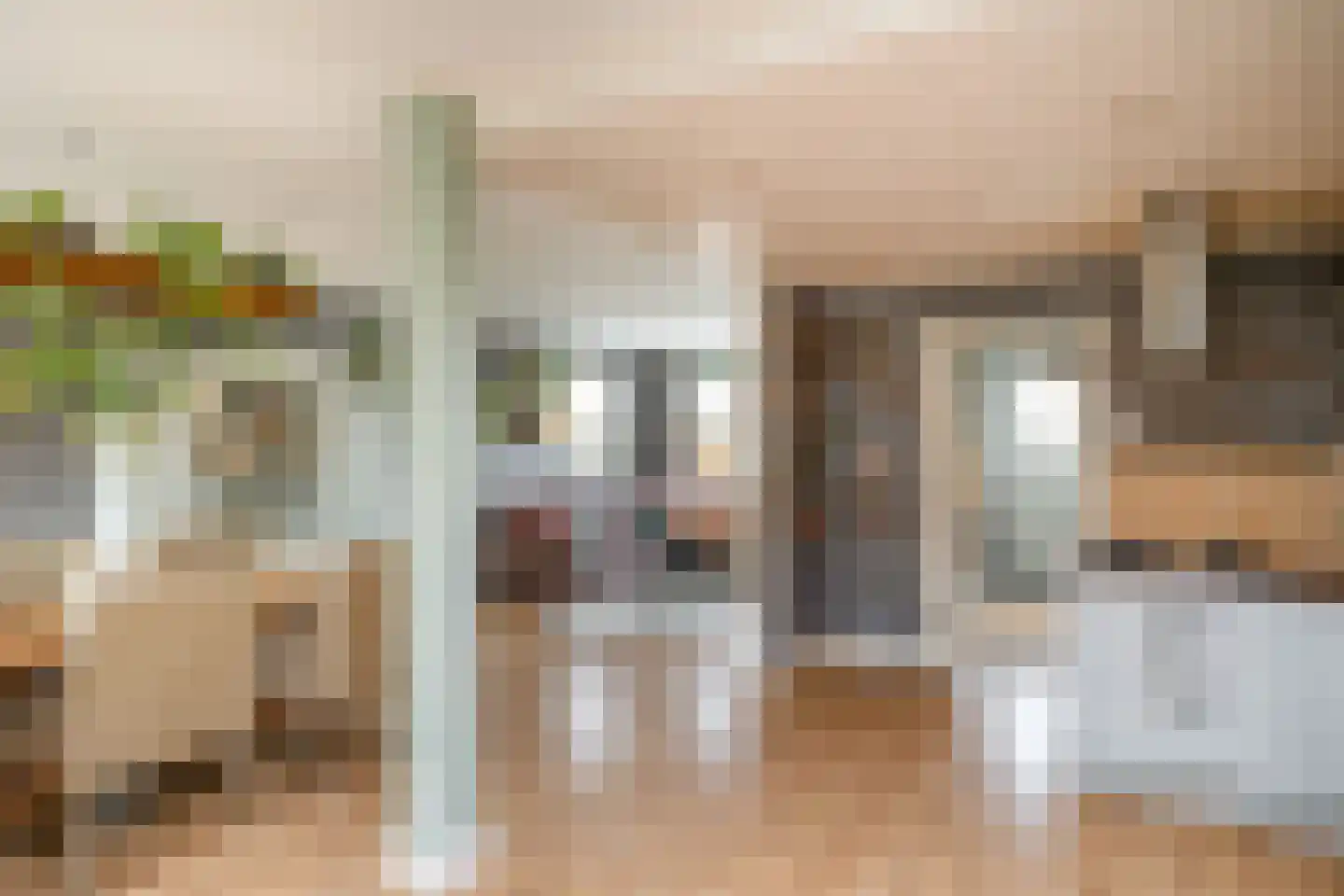 Hyacinthstraat 12 Losser thumbnail 13