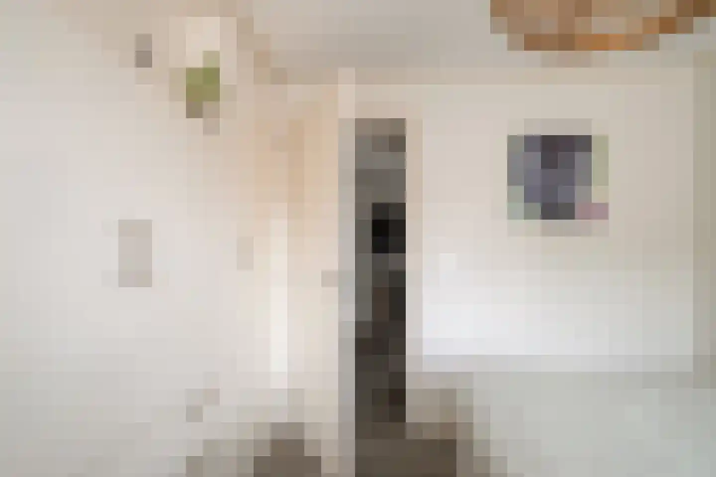Hyacinthstraat 12 Losser thumbnail 24