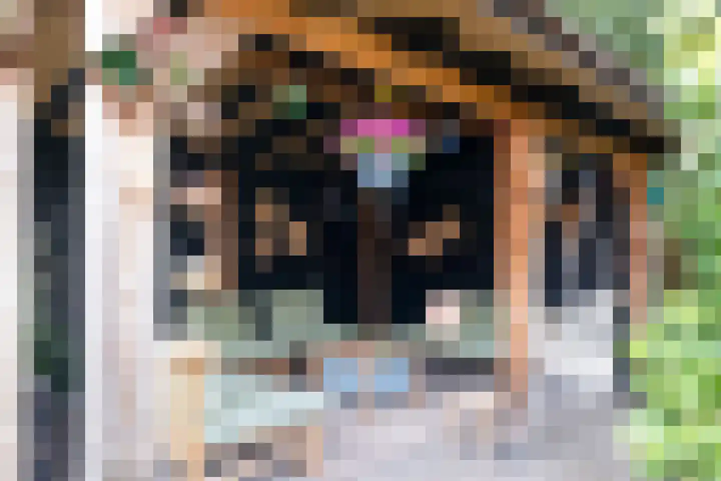 Hyacinthstraat 12 Losser thumbnail 31