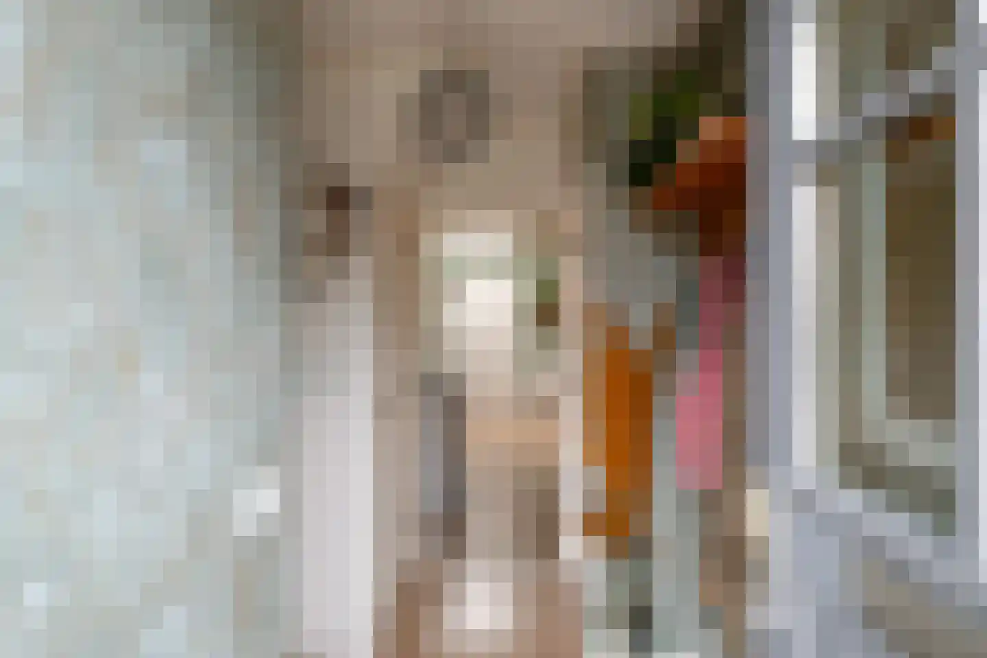Hyacinthstraat 12 Losser thumbnail 6