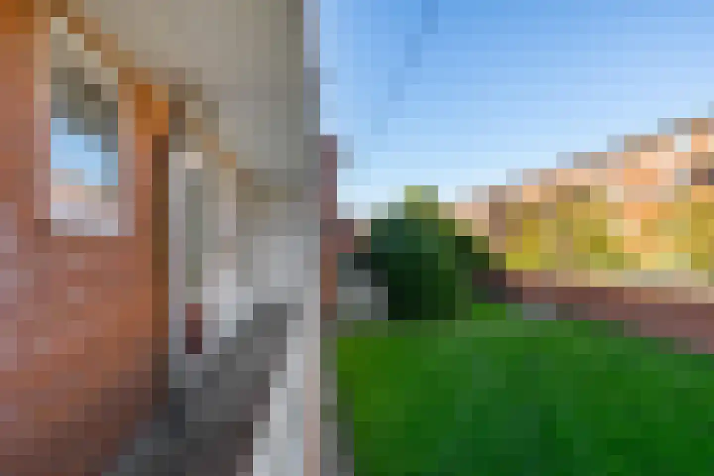 Hyacinthstraat 123 Groningen thumbnail 30