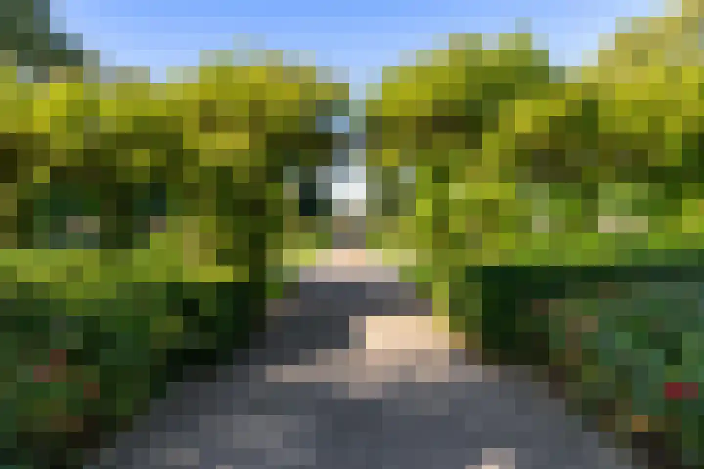 Hyacinthstraat 123 Groningen thumbnail 36
