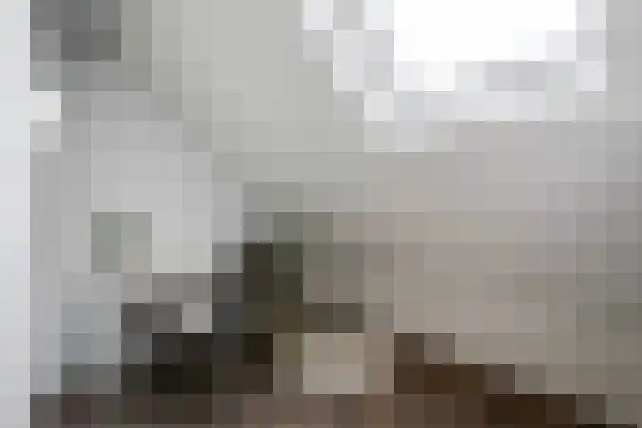 Hyacinthstraat 124 Groningen thumbnail 31