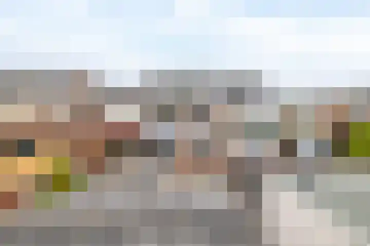 Hyacinthstraat 16 Spijkenisse thumbnail 26