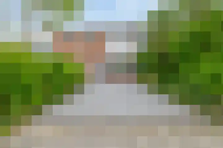 Hyacinthstraat 16 Spijkenisse thumbnail 9