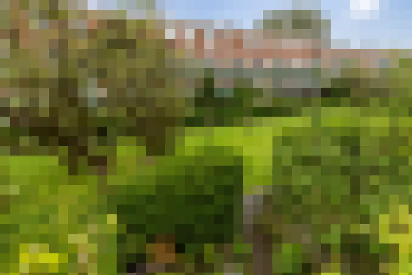 Hyacinthstraat 160 Groningen thumbnail 34