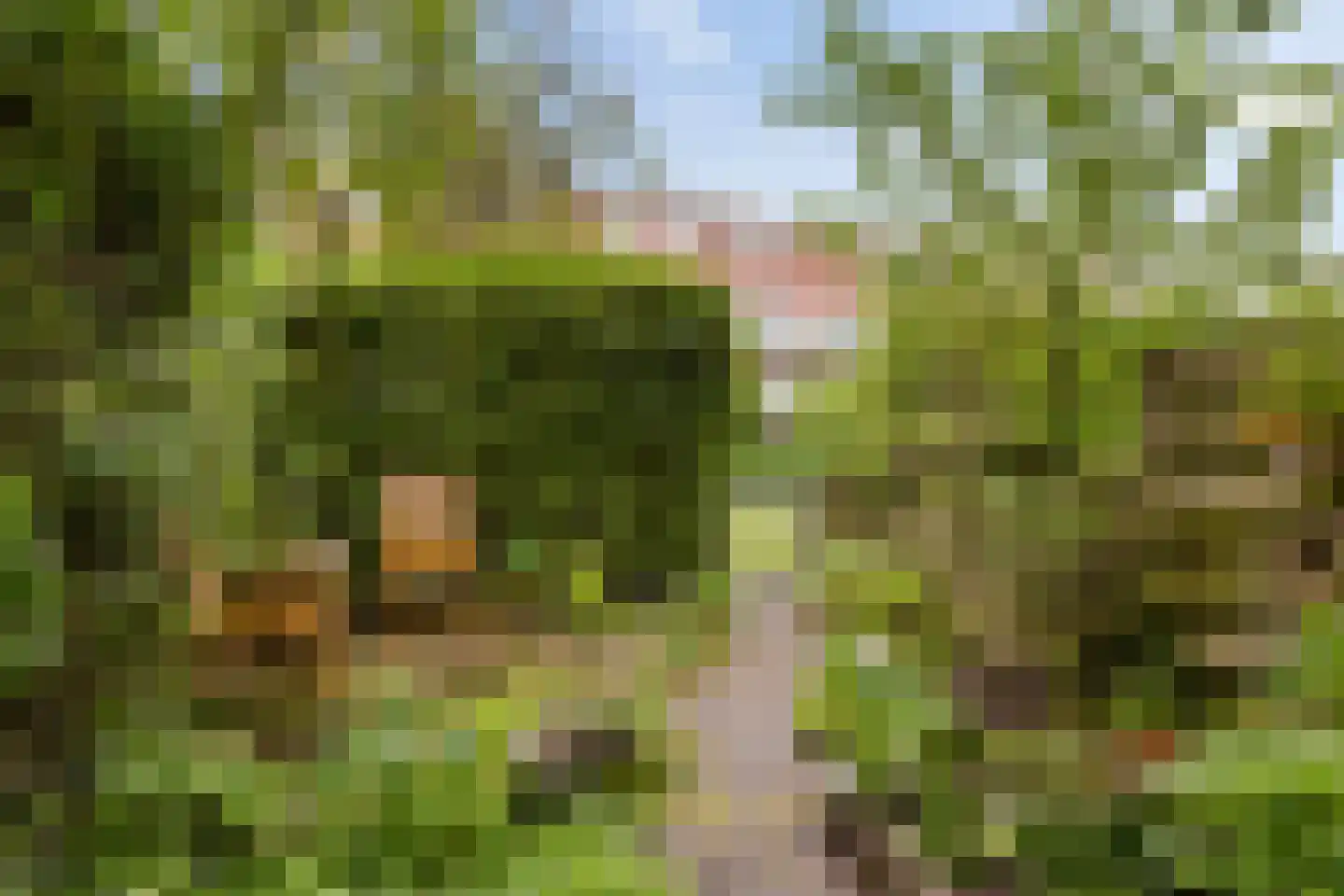 Hyacinthstraat 160 Groningen thumbnail 6