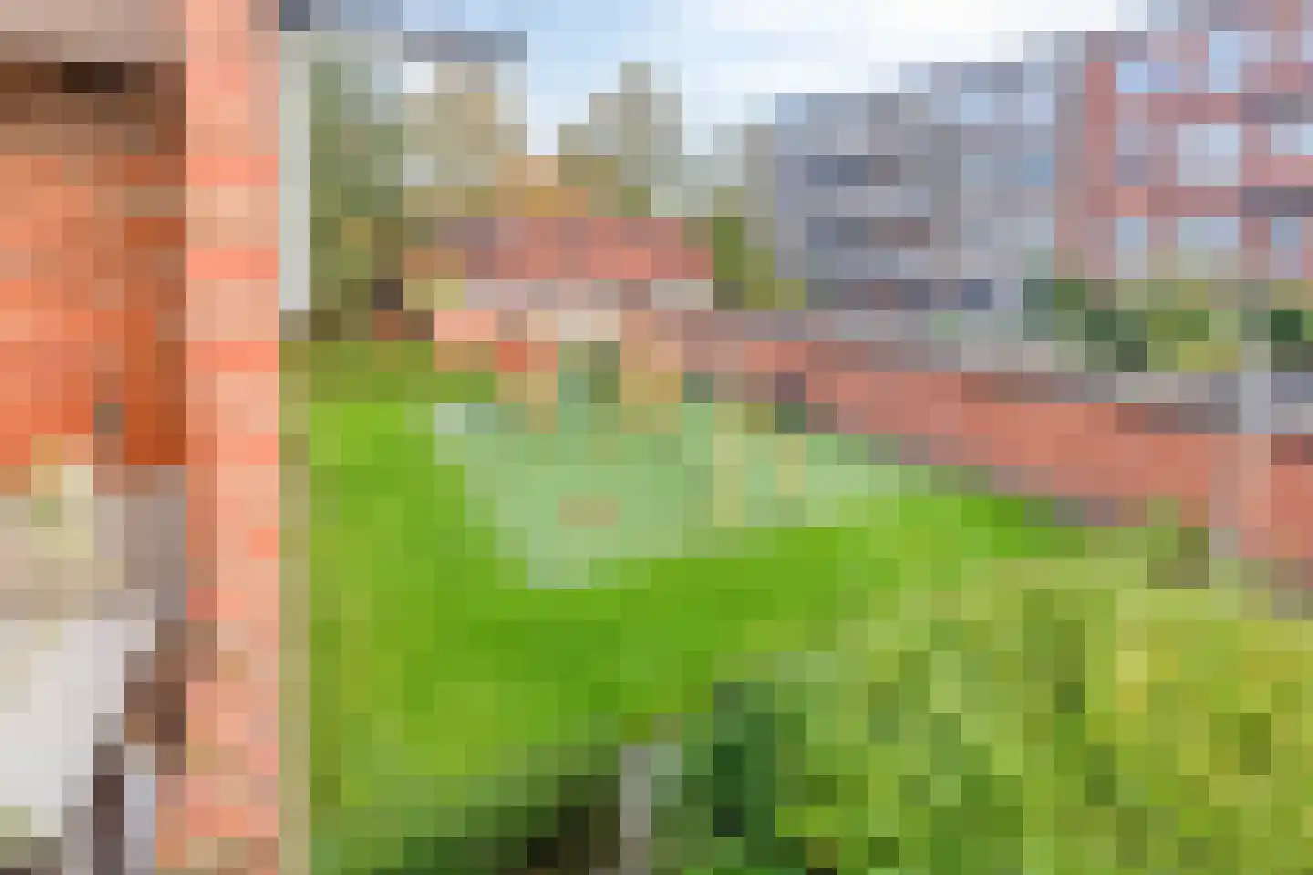 Hyacinthstraat 199 Groningen thumbnail 20